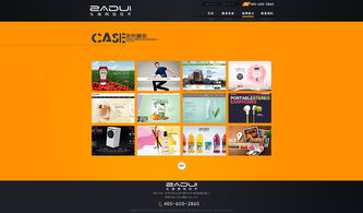 數(shù)字時(shí)代的視覺(jué)溝通 網(wǎng)站設(shè)計(jì)與廣告設(shè)計(jì)的融合與挑戰(zhàn)